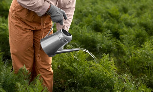 Stile di vita della persona ecofriendly