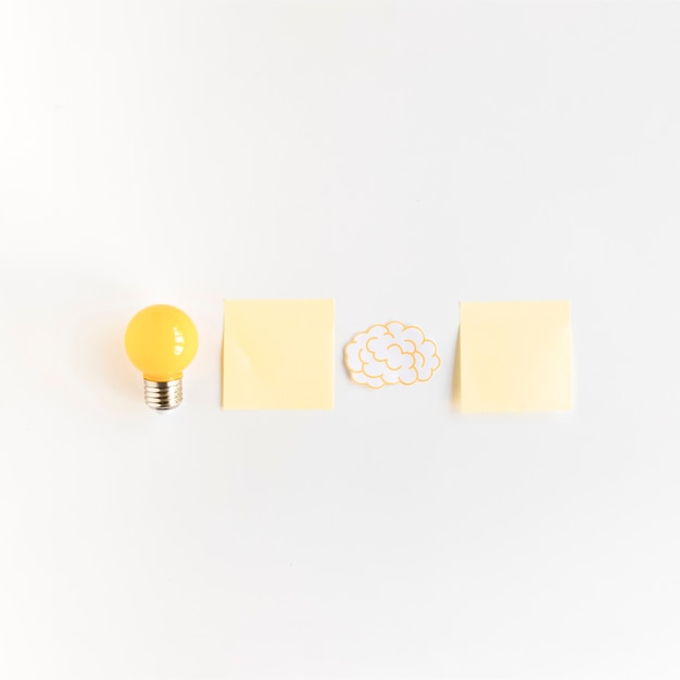 Light bulb and brain with two adhesive notes on white background