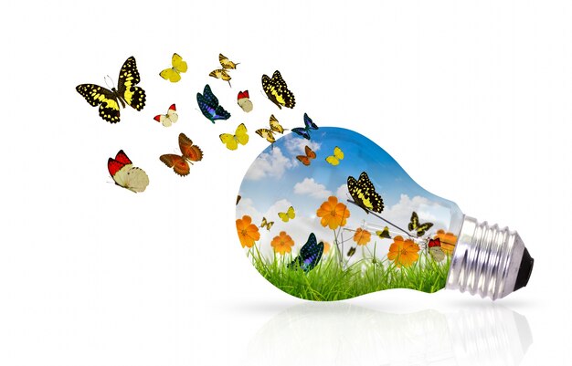 Light bulb with colorful butterflies