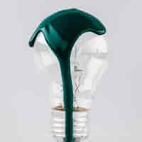 Free photo light bulb with green paint