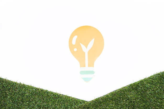 Light bulb with petal and grass