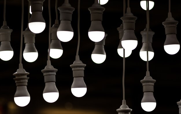 Light bulbs hanging