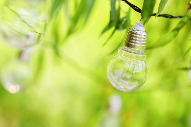 Light bulbs hangs on branches