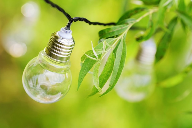 Light bulbs hangs on branches