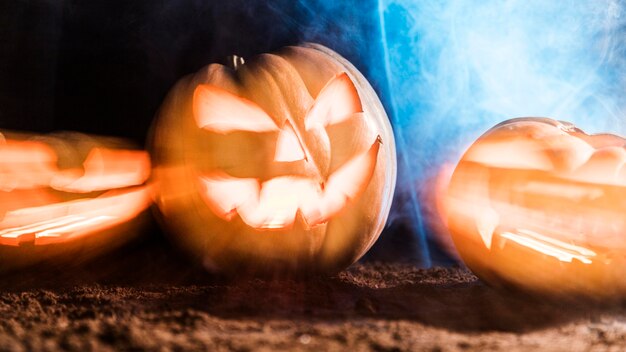 Light carved pumpkins arrangement