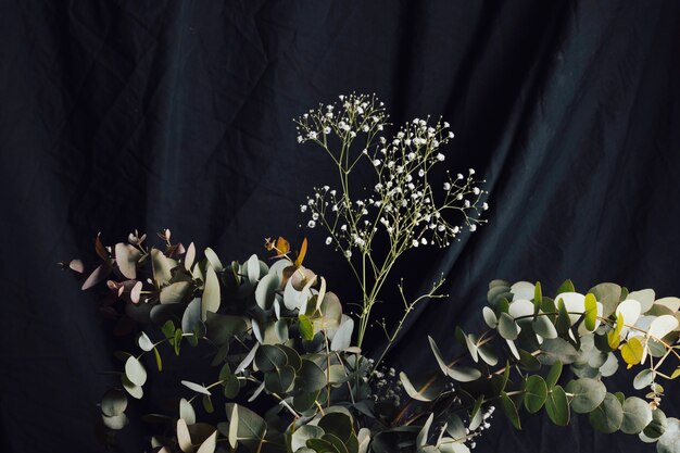 light fresh flower twigs and plant with green leaves
