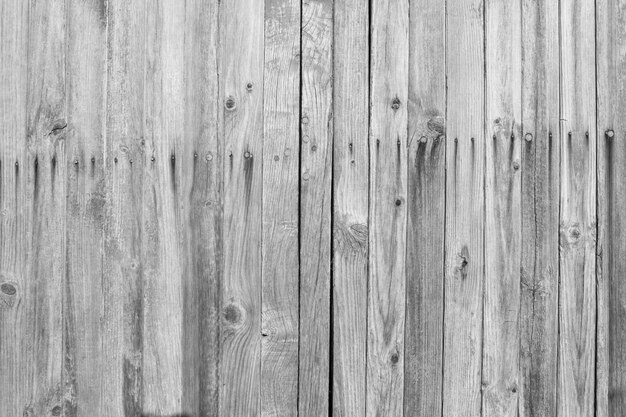 Light gray wooden wall