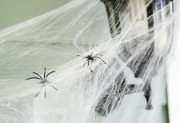 Free photo light post with spiderweb on halloween