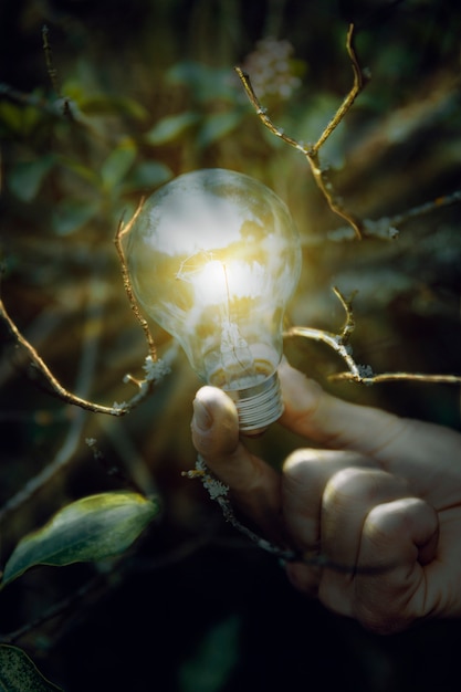 Lighted lamp in hand on branches of tree