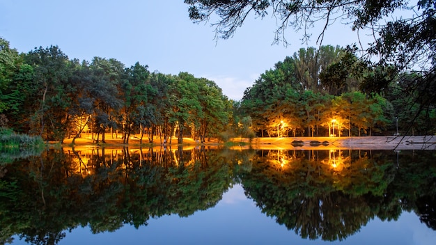 Lights in a park with green trees and pond