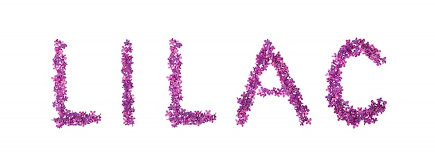 Free photo lilac text made of purple lilac pedals.