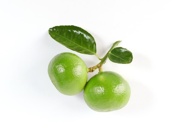ライム。白い表面に分離された葉を持つ新鮮な果物。自家栽培のオーガニックガーデンから採れたてです。食品のコンセプト。