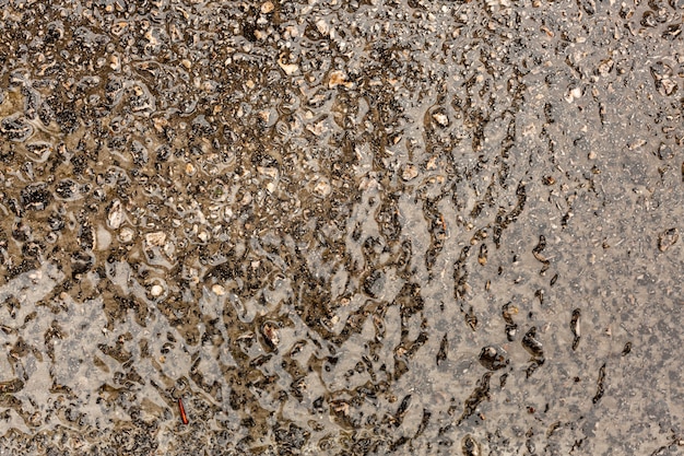 Liquid on concrete with pebbles