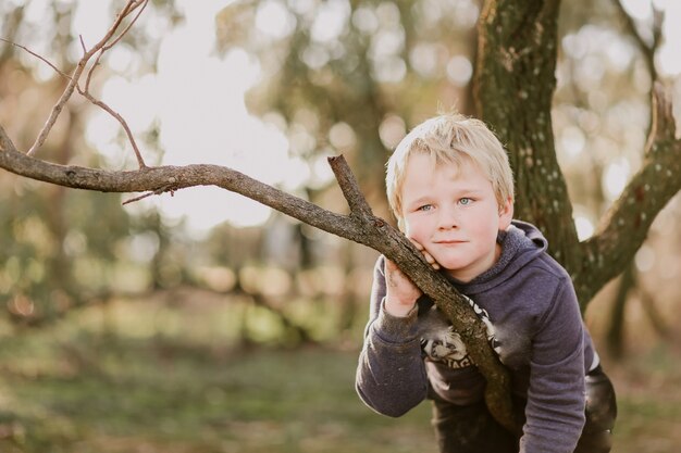 나뭇가지에 기대어 작은 호주 소년