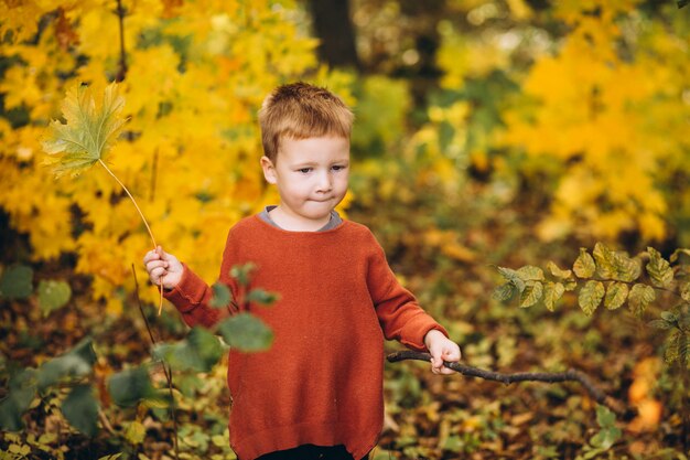 Little boy in an autumn park full of golden leaves