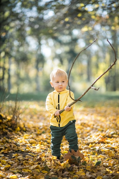 Little boy in autumn park