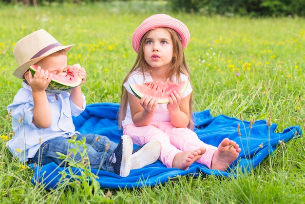 Little boy and girl sitting on blue blanket over green grass eating watermelon