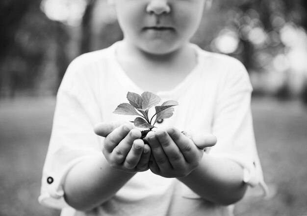 植物を持っている小さな男の子