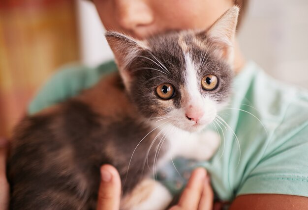 Little boy holds black and white kitty on his shoulder 