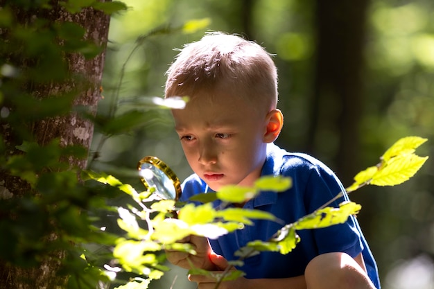 Little boy participating in a treasure hunt