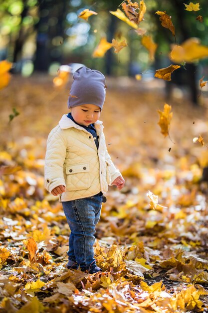 Маленький мальчик играет и бросает листья в осеннем парке