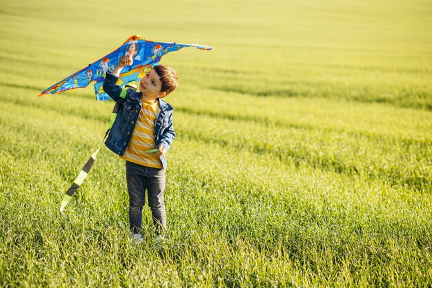 Маленький мальчик играет с воздушным змеем на зеленом лугу