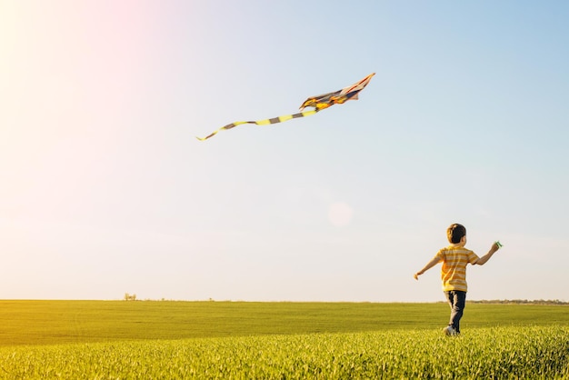 Little boy playing with kite at a green meadow