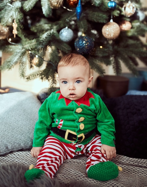 小さな男の子はクリスマスツリーに座っています