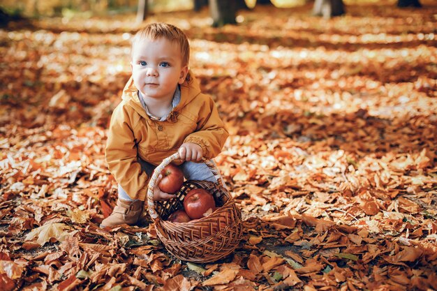 秋の公園で座っている小さな男の子