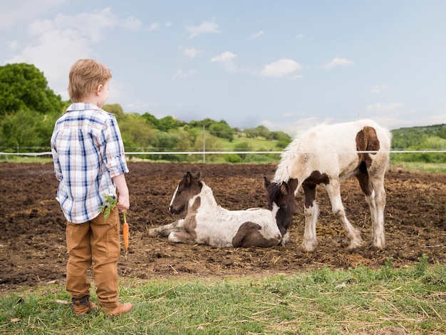 Little boy standing next to farm animals