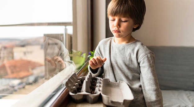 Little boy with planted seeds in egg carton