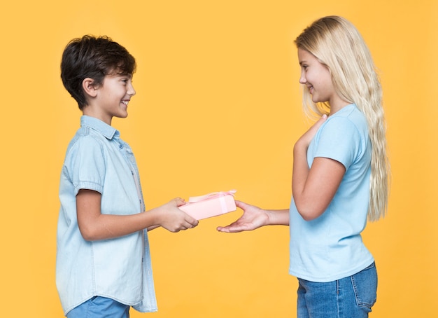 Free photo little brother offering gift to sister