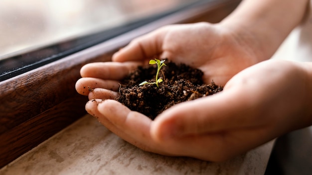 Free photo little child holding dirt and sprout in his hands