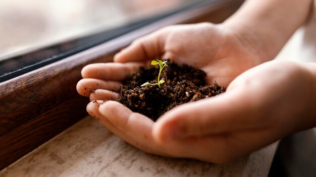 Little child holding dirt and sprout in his hands