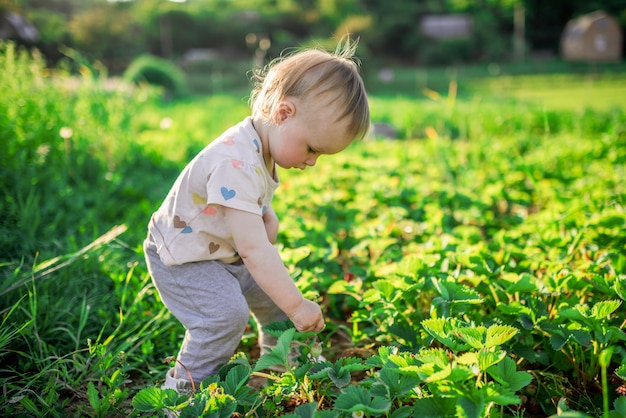 Little child plays on the green field with bugs