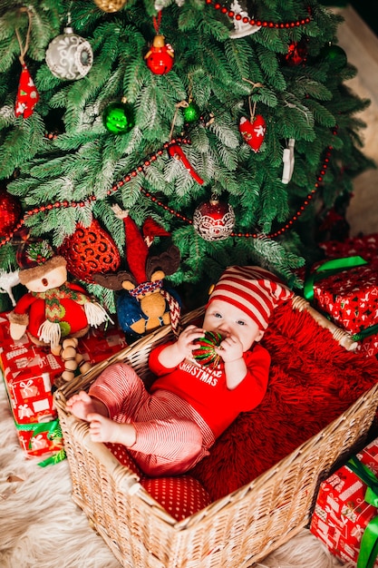 Little child plays lying in the basket under green Christmas tree 