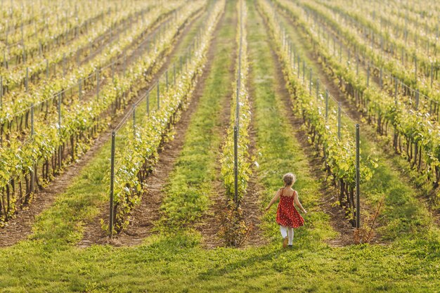 Маленький ребенок в красном платье бежит в винограднике