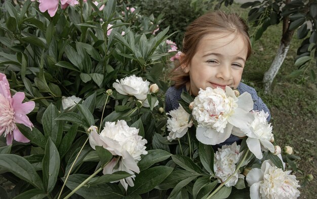 A little cute girl sniffs a bush of white peony flowers blooming in the garden.
