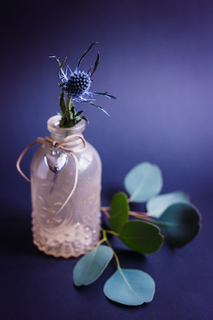 Бесплатное фото Маленькая декоративная кукуруза стоит в стеклянной бутылке
