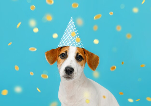 Premium Photo | Little dog in a party hat with confetti