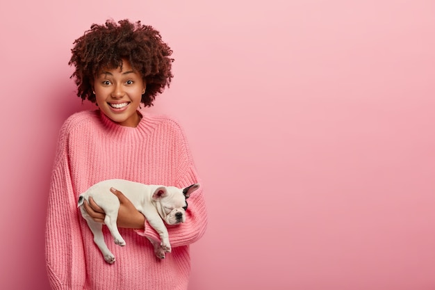 ホステスの手に小さなフレンチブルドッグ。アフロヘアカットペット小型犬と若い女性