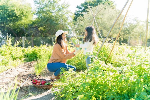 Маленькая девочка помогает матери собирать овощи в саду летом