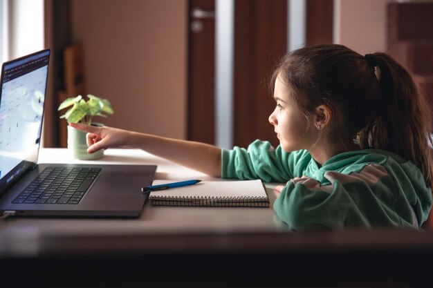 Little girl in front of laptop screen study concept