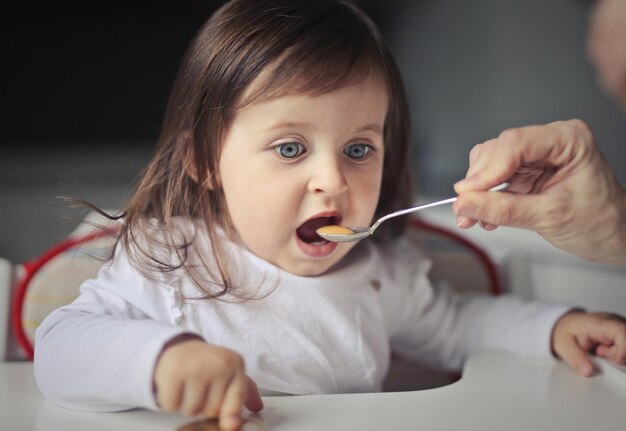 Little girl is fed by her mother