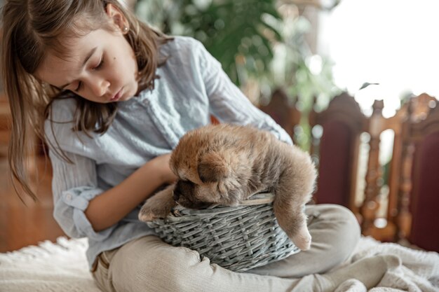 A little girl is playing with her little and fluffy puppy