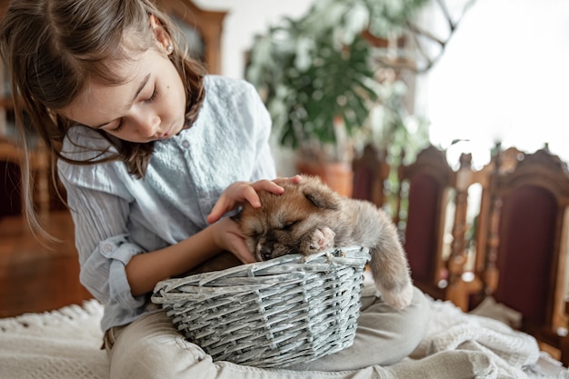 A little girl is playing with her little and fluffy puppy