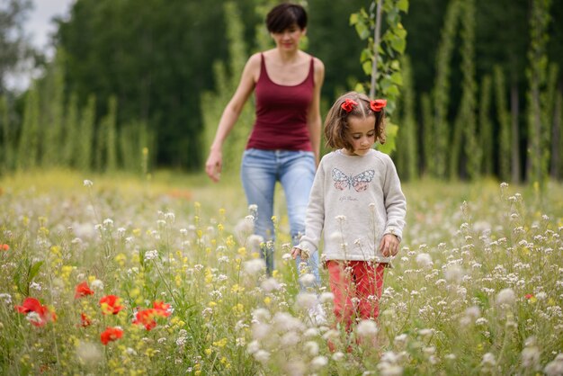 Little girl looking for flowers in the meadow