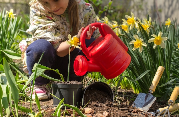 Free photo little girl planting flowers in the garden