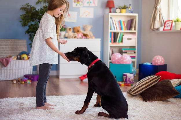 Little girl playing with dog at home