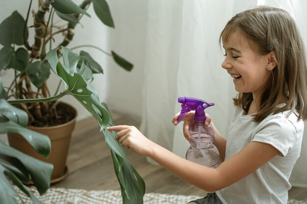 Little girl spraying houseplant leaves, taking care of plant Monstera.